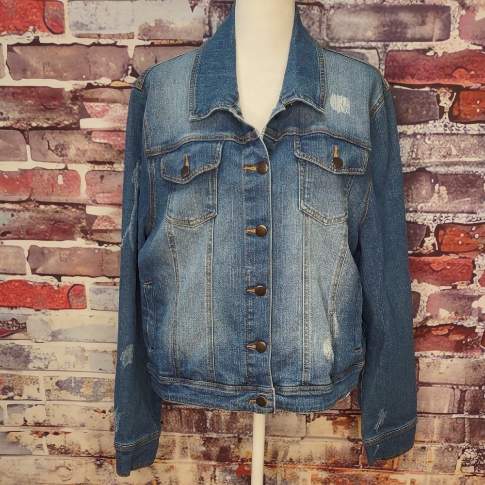 Fairchild Embroidered Denim Jacket - Picture 2 of 7